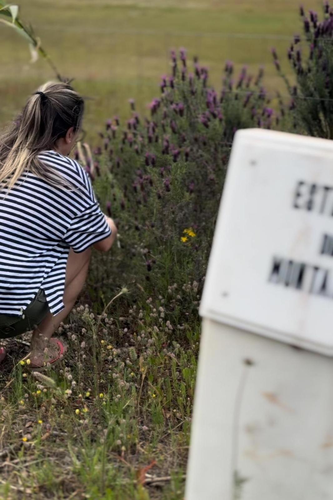 Monte Santo Βίλα Montargil Εξωτερικό φωτογραφία
